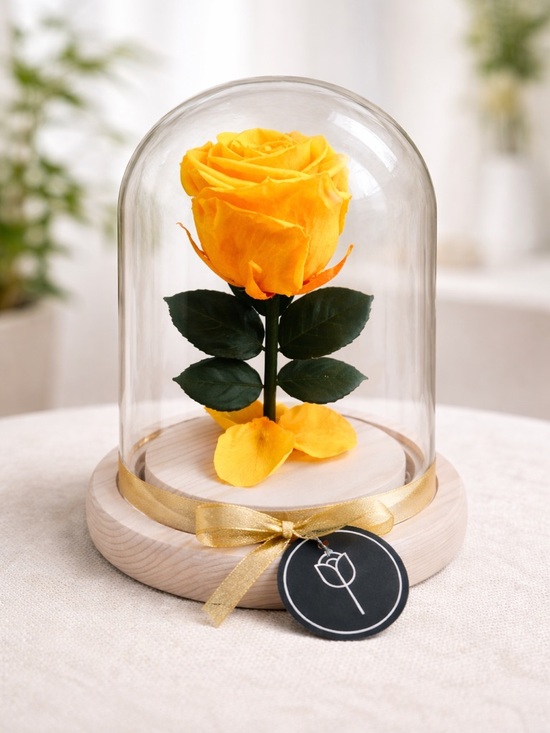 Other - Yellow Preserved Rose Under Glass Dome
